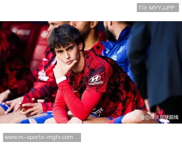 探索cm与dm足球的魅力与技巧提升之路，助你成为球场上的明星球员